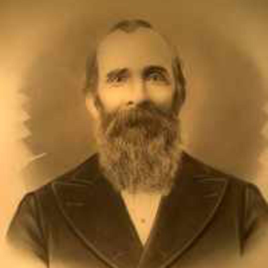 Francis Albert Gay (1833 - 1916) Profile